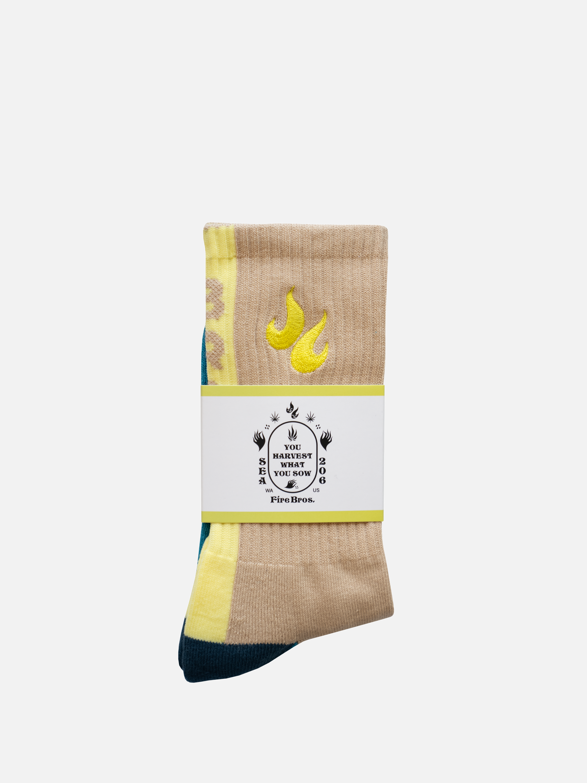 Color Block Socks