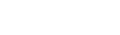 Fire Bros.